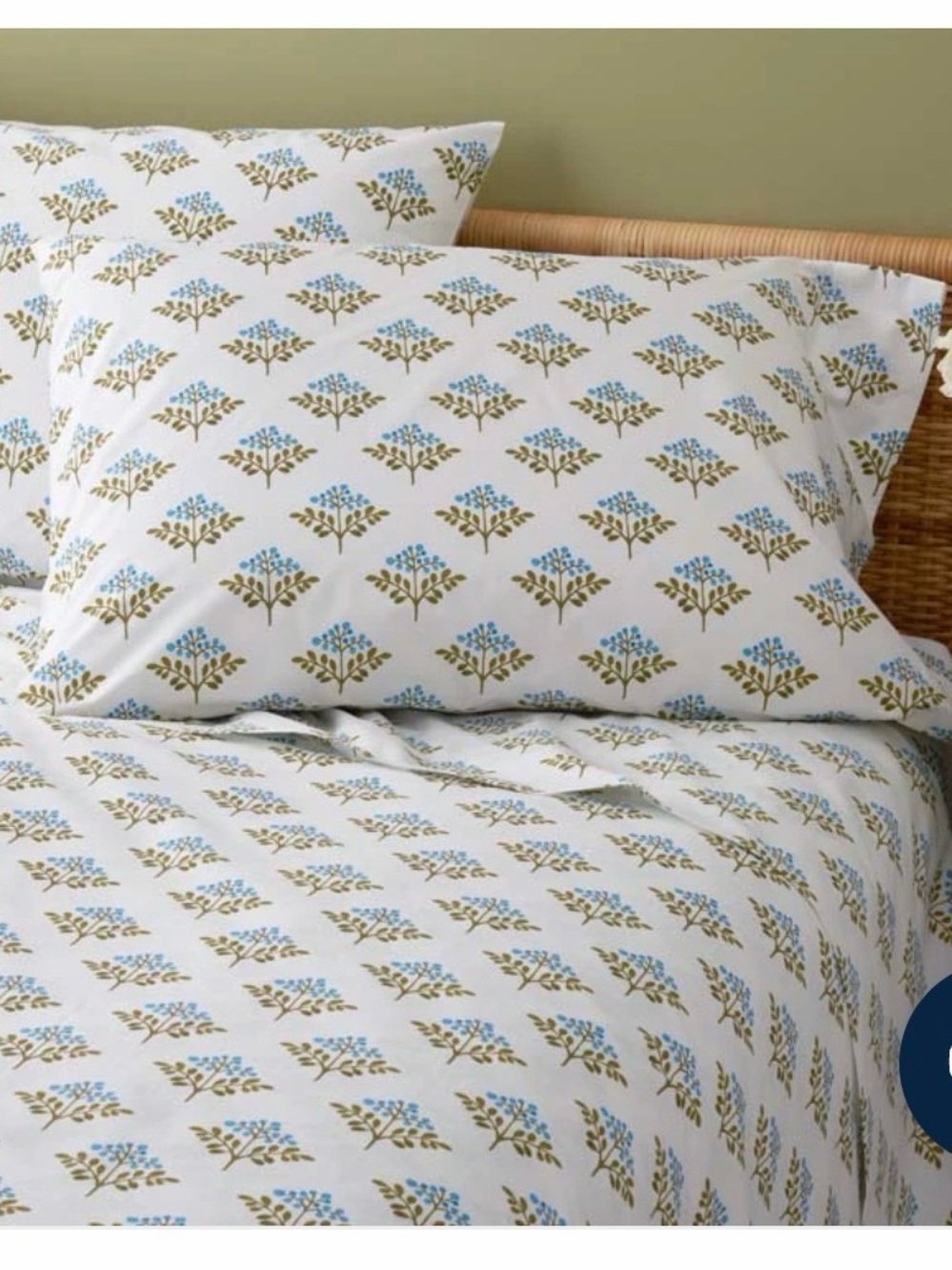 Company Store Percale Queen Blue & Green Cotton Pillowcase Set